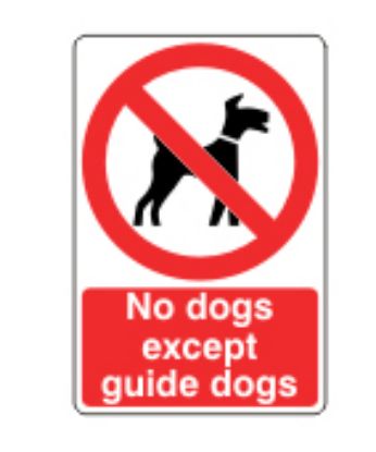 [MPL10749] Sign - No Dogs Except Guide Dogs Self Adhesive Vinyl 15 x 20cm Red On White