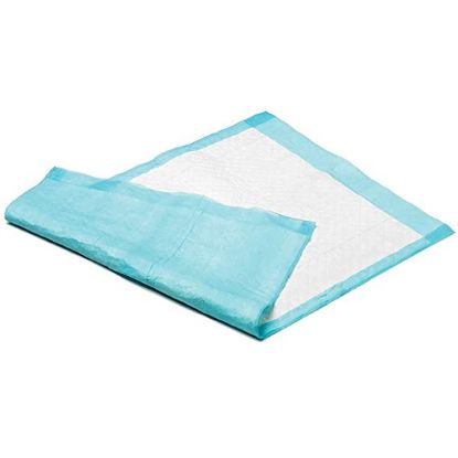 [MPRB5420] UNDERPAD (READI) INCONTINENCE 60X40 10 PLY X 100