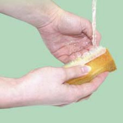[MPVY0901.00] SCRUB BRUSH IMPREGNATED WITH POVIDONE IODINE X 25